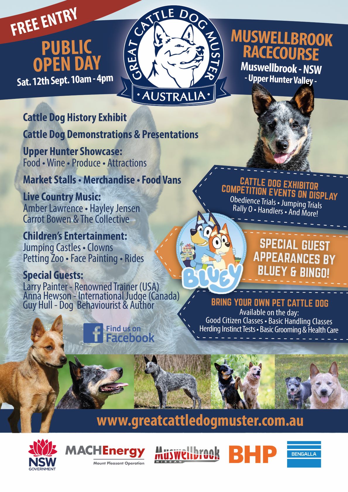 The Great Cattle Dog Muster Upper Hunter Country